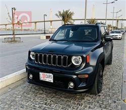 جيب رينيجيد